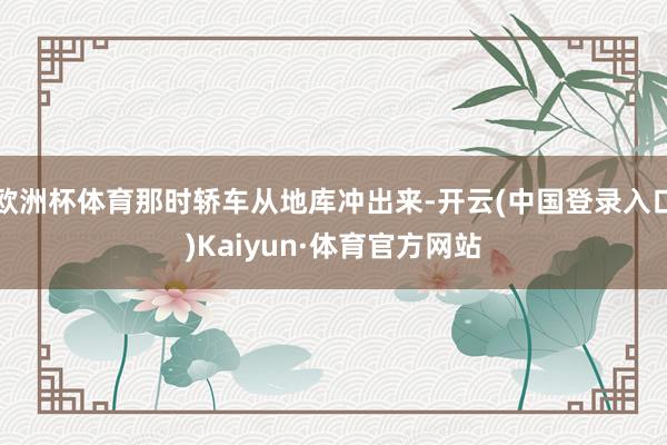 欧洲杯体育那时轿车从地库冲出来-开云(中国登录入口)Kaiyun·体育官方网站