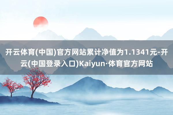 开云体育(中国)官方网站累计净值为1.1341元-开云(中国登录入口)Kaiyun·体育官方网站