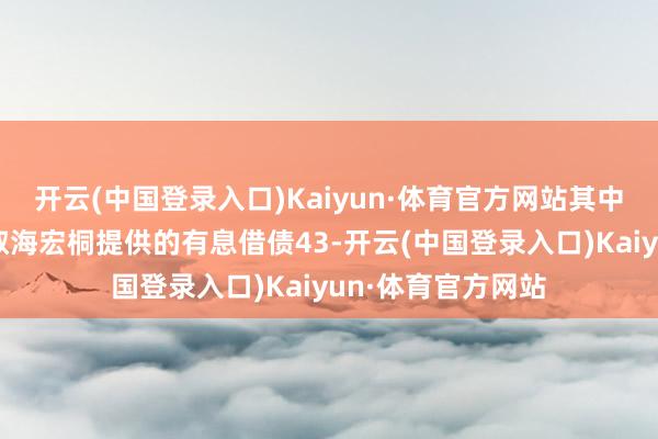 开云(中国登录入口)Kaiyun·体育官方网站其中使用召募资金进取海宏桐提供的有息借债43-开云(中国登录入口)Kaiyun·体育官方网站