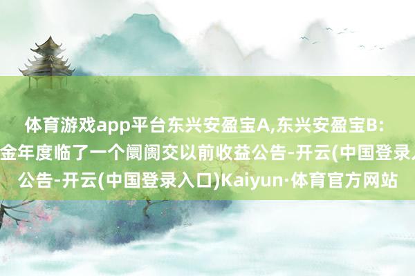 体育游戏app平台东兴安盈宝A,东兴安盈宝B: 东兴安盈宝货币阛阓基金年度临了一个阛阓交以前收益公告-开云(中国登录入口)Kaiyun·体育官方网站