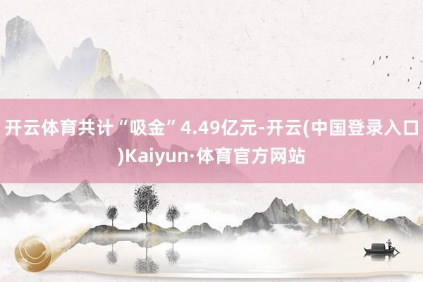 开云体育共计“吸金”4.49亿元-开云(中国登录入口)Kaiyun·体育官方网站