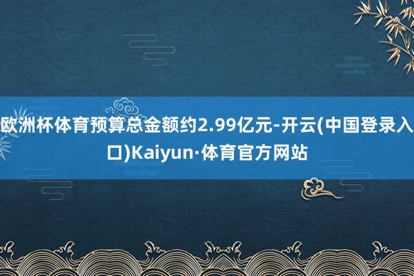 欧洲杯体育预算总金额约2.99亿元-开云(中国登录入口)Kaiyun·体育官方网站
