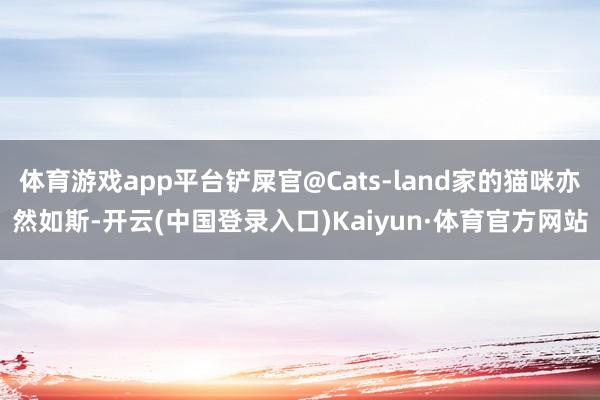 体育游戏app平台铲屎官@Cats-land家的猫咪亦然如斯-开云(中国登录入口)Kaiyun·体育官方网站