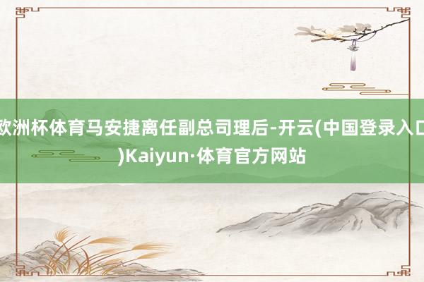 欧洲杯体育马安捷离任副总司理后-开云(中国登录入口)Kaiyun·体育官方网站