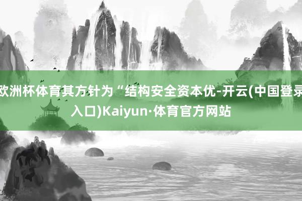 欧洲杯体育其方针为“结构安全资本优-开云(中国登录入口)Kaiyun·体育官方网站