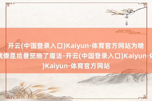开云(中国登录入口)Kaiyun·体育官方网站为啥加盐呢？这就像是给番茄施了魔法-开云(中国登录入口)Kaiyun·体育官方网站
