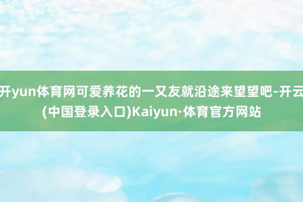开yun体育网可爱养花的一又友就沿途来望望吧-开云(中国登录入口)Kaiyun·体育官方网站