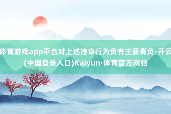 体育游戏app平台对上述违章行为负有主要背负-开云(中国登录入口)Kaiyun·体育官方网站