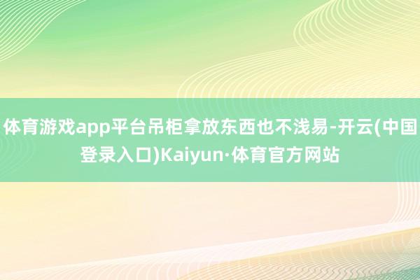 体育游戏app平台吊柜拿放东西也不浅易-开云(中国登录入口)Kaiyun·体育官方网站